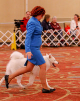 SCA2019 BEST OF-0591