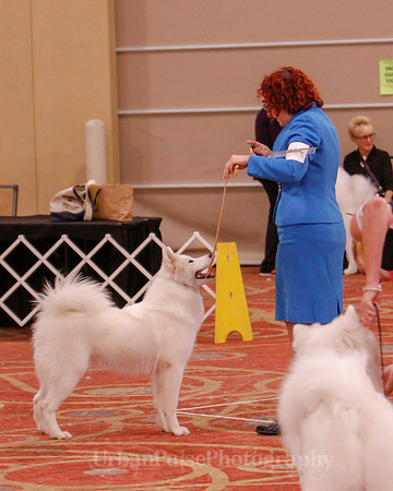 SCA2019 BEST OF-0592