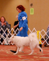 SCA2019 BEST OF-0597