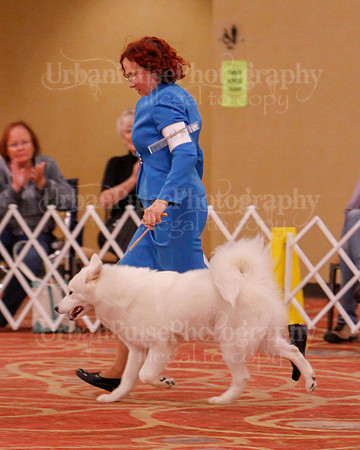 SCA2019 BEST OF-0597
