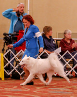 SCA2019 BEST OF-0603