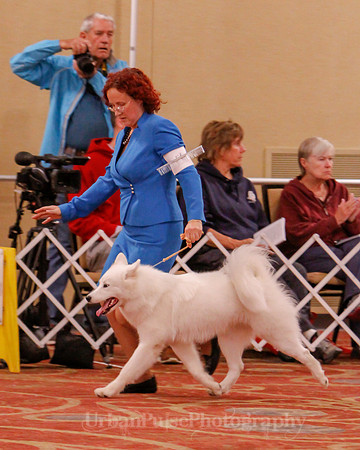 SCA2019 BEST OF-0603