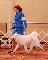 SCA2019 BEST OF-0605