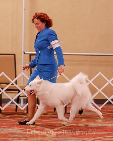 SCA2019 BEST OF-0605