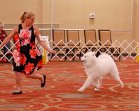 SCA2019 BEST OF-0573