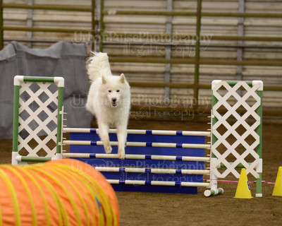 SCA2016_AG MON FAST NOVICE-3568