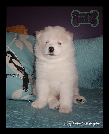 KEATS 5 WKS-DSC00105