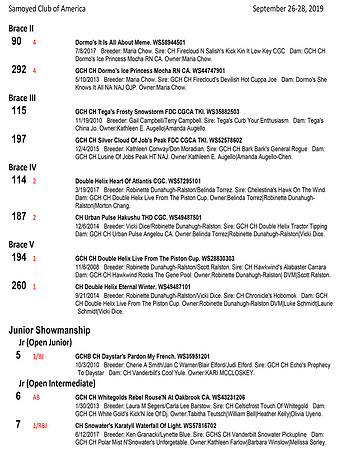 SCA2019 RESULTS-16