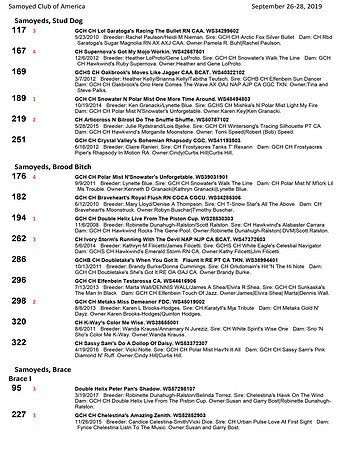 SCA2019 RESULTS-15