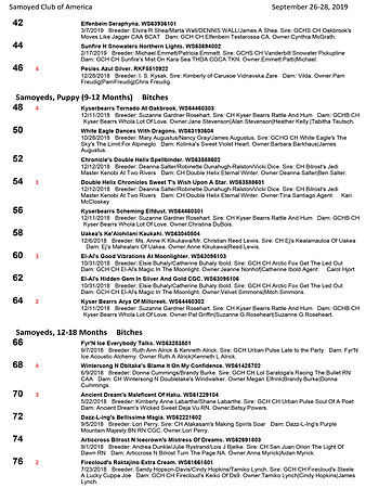SCA2019 RESULTS-4