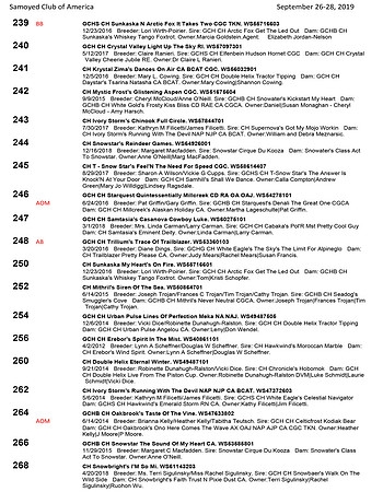 SCA2019 RESULTS-13