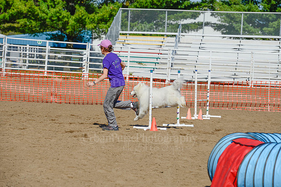 AGILITY-2199