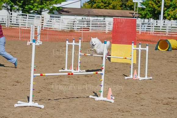 AGILITY-2330