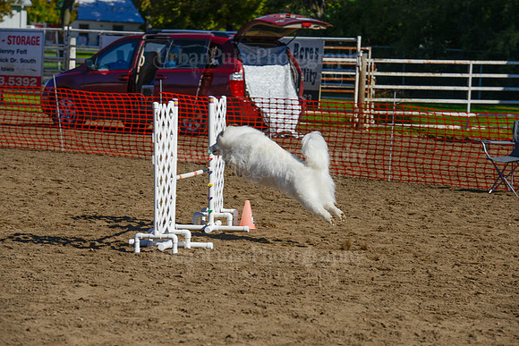 AGILITY-2044
