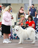 2015 SWEEPS DOGS 12-15