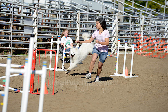 AGILITY-1860