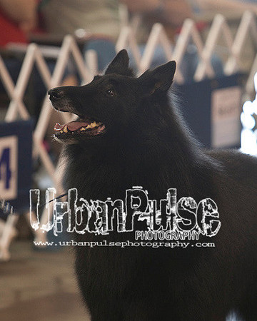 Fargo_2011-3896