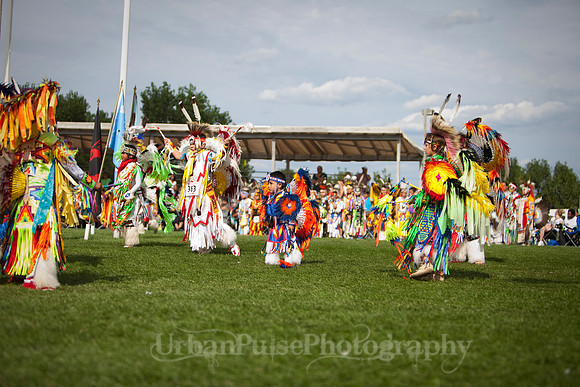 Wacipi_2011-2417