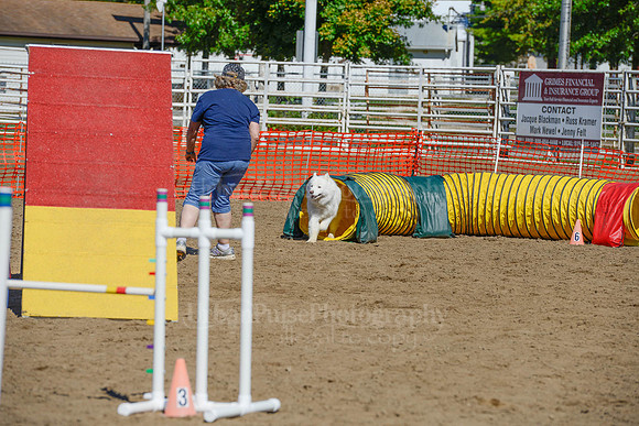 AGILITY-2279