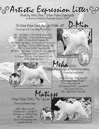 BULLETIN AD PG2