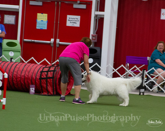 AGILITY_9486