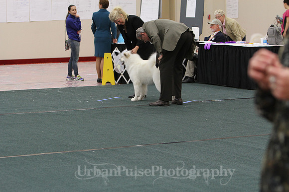 D OPEN-8667 2014 SCA National - 3rd PL