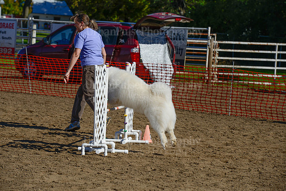 AGILITY-2099