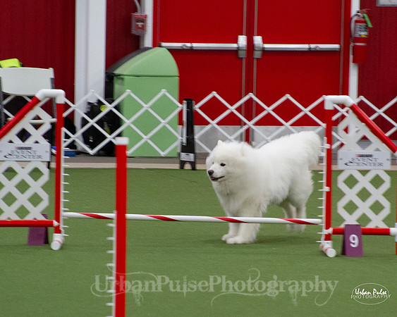 AGILITY_9480