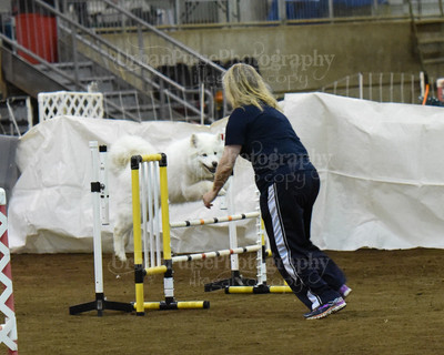 SCA2016_AG MON FAST NOVICE-0128