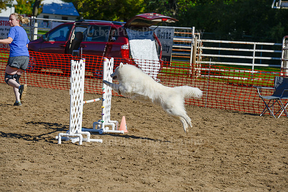 AGILITY-2017
