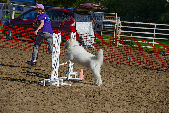 AGILITY-2181