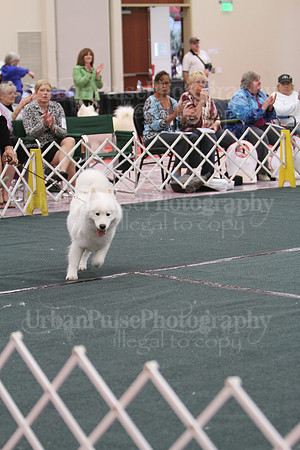SWPS VET B8-10-9709