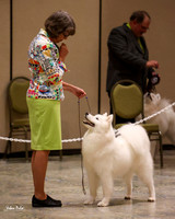 SCA2023_P SWPS_B12-15-0682
