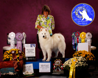 SCA2023_PERFORMANCE_AWARD_6295
