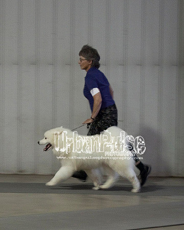 Fargo_2011-3547