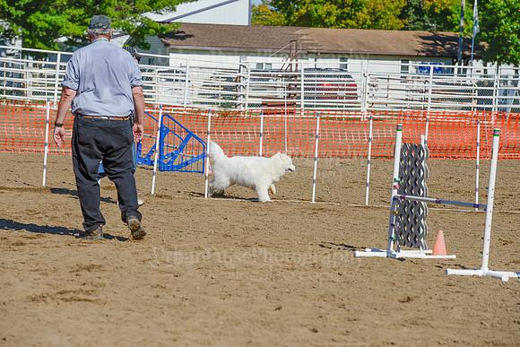 AGILITY-2056