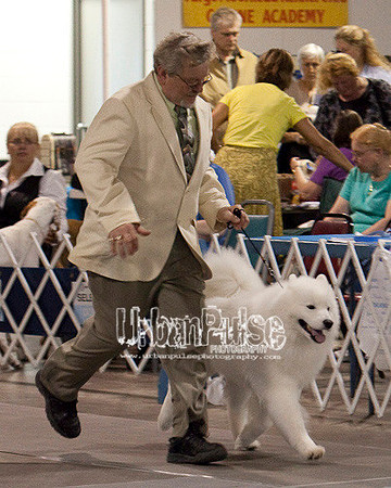Fargo_2011-4048