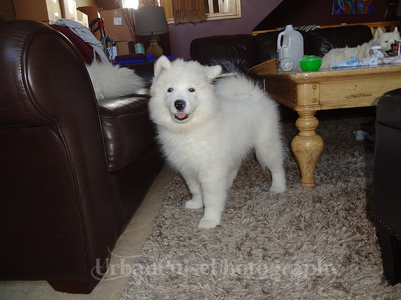 PEPSI-DSC01284