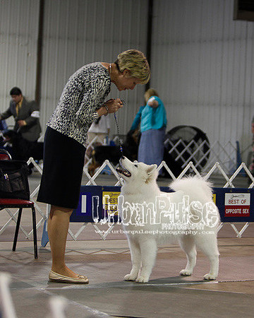 Fargo_2011-3618
