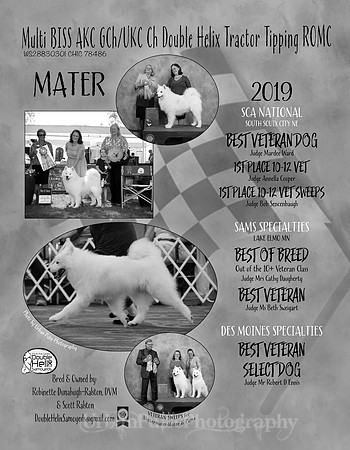 5 - MATER 2019 - LEFT SIDE - ROBINETTE D-RALSTON