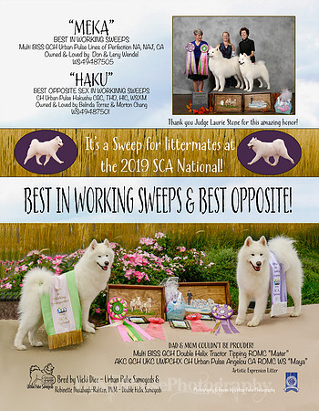 3 - MEKA & HAKU 2019 AD - BELINDA TOREZ (&LENY WENDEL)