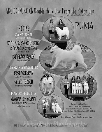 6- PUMA 2019 - RIGHT SIDE - ROBINETTE D-RALSTON