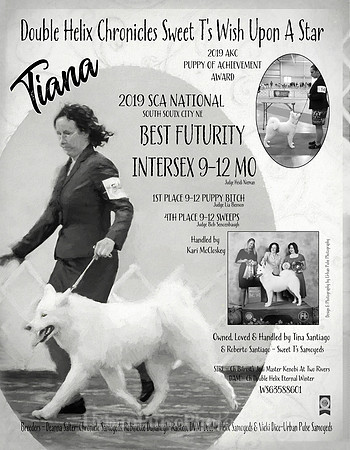 15 - TIANA 2019 - TINA SANTIAGO