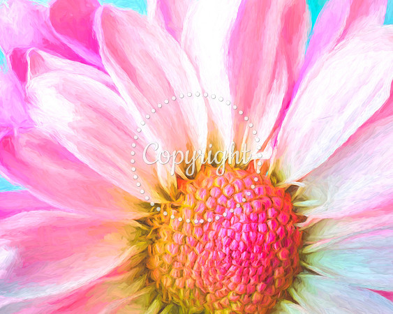 FLOWER 1