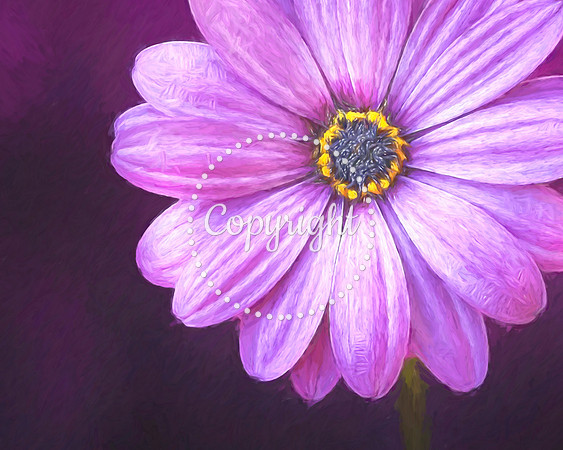 FLOWER 5
