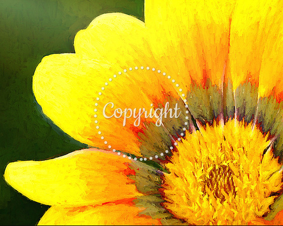 FLOWER 6