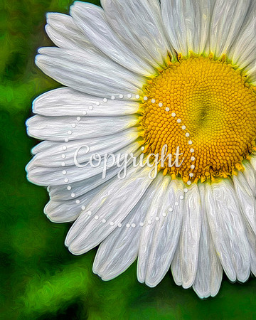 FLOWER 8