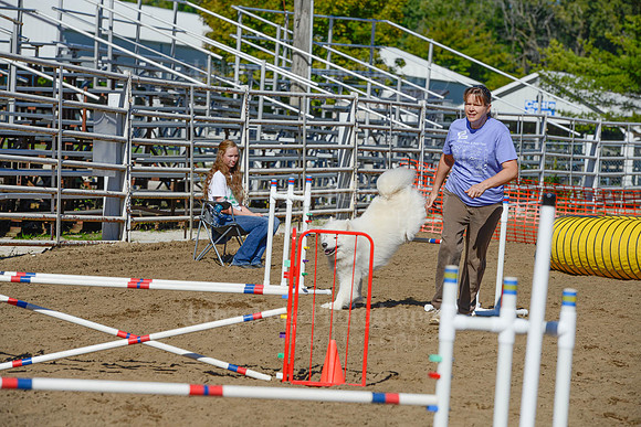 AGILITY-2118