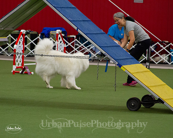 AGILITY_9433