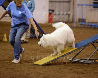 SCA2016_AG MON FAST NOVICE-3541